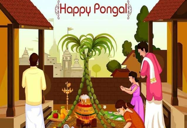 Pongal 2024: 4 दिन तक चलने वाला पोंगल पर्व कब से होगा शुरू? जानिए परंपरा और महत्व