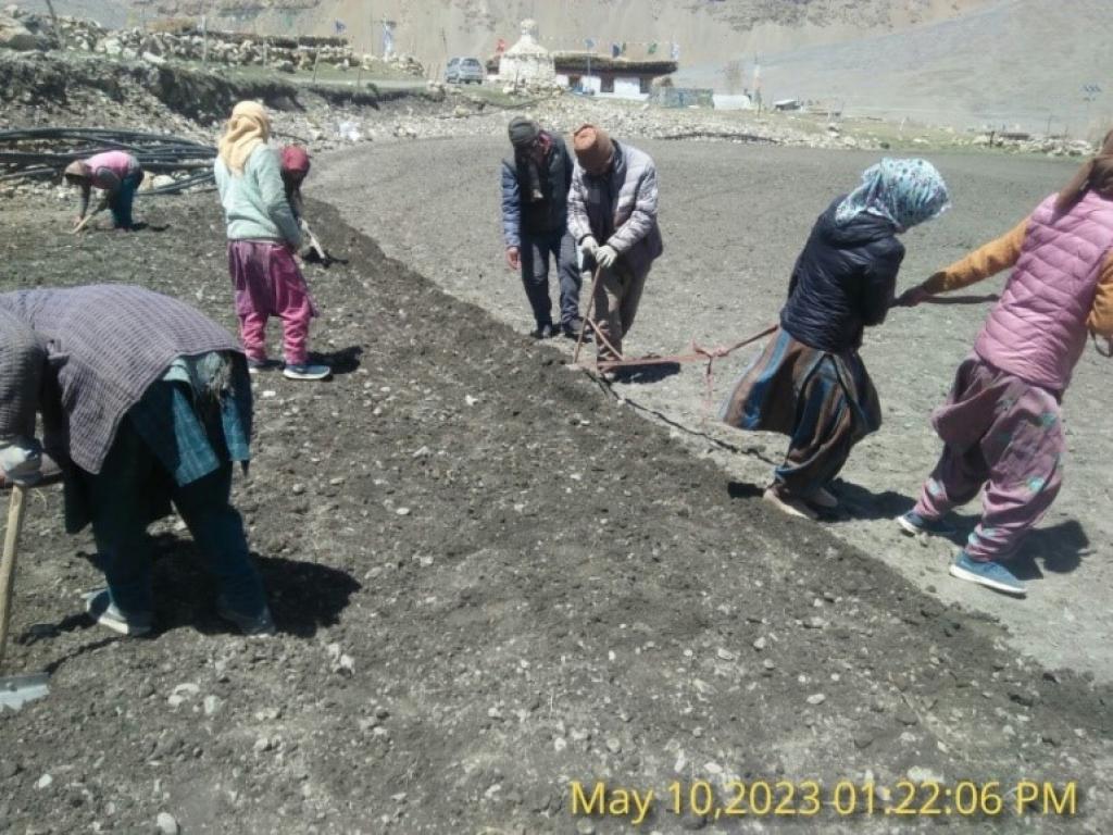 Agriculture in the cold desert of Spiti Valley is difficult, but there are ways to make it easier