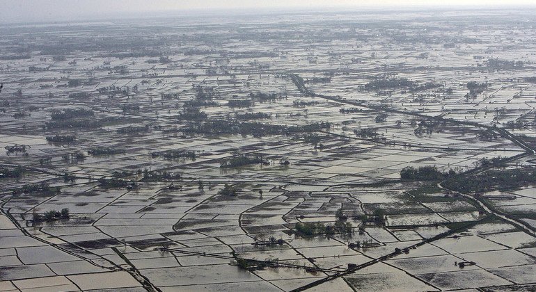 म्याँमार: बाढ़ प्रभावित समुदायों तक मानवीय राहत पहुँचाने के लिए प्रयास