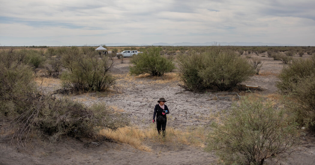 In Mexican Desert, Digging for a ‘Miracle’: Bringing the Missing Back Home