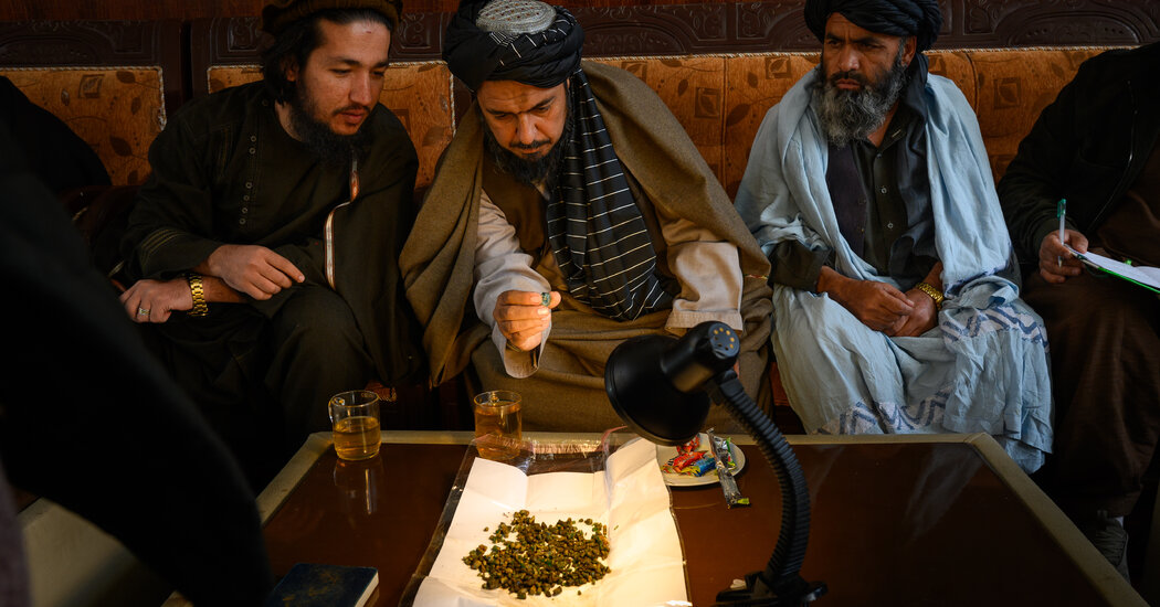 Emeralds for Sale: The Taliban Look Below Ground to Revive the Economy